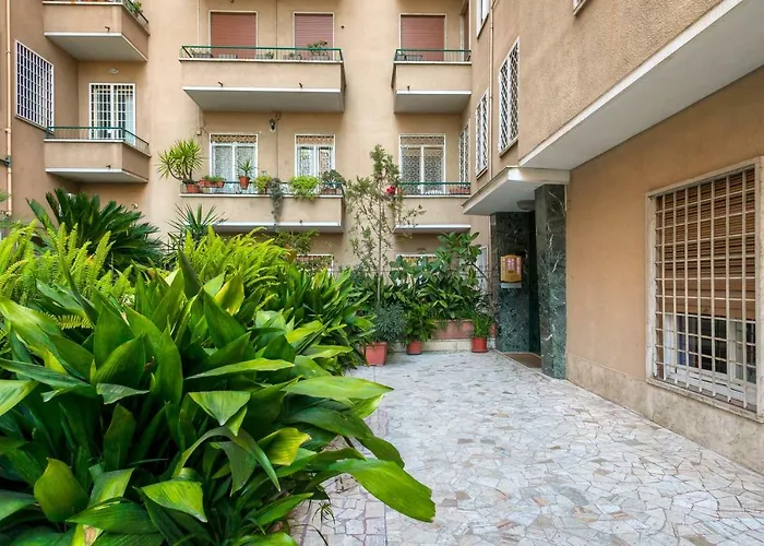 Many Days Daire Roma